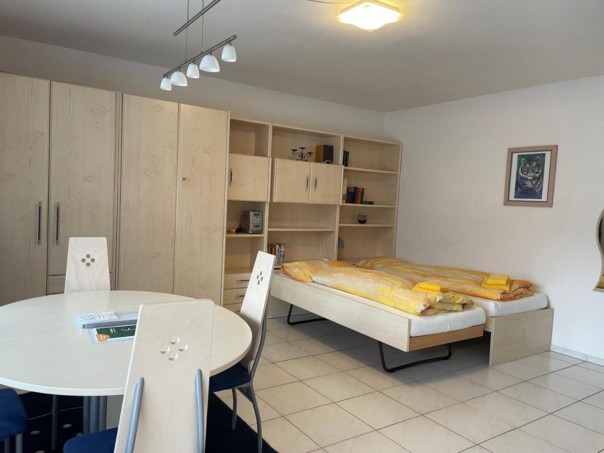 Muralto-Locarno: Miramonti Apt. 4 Exteriér fotografie