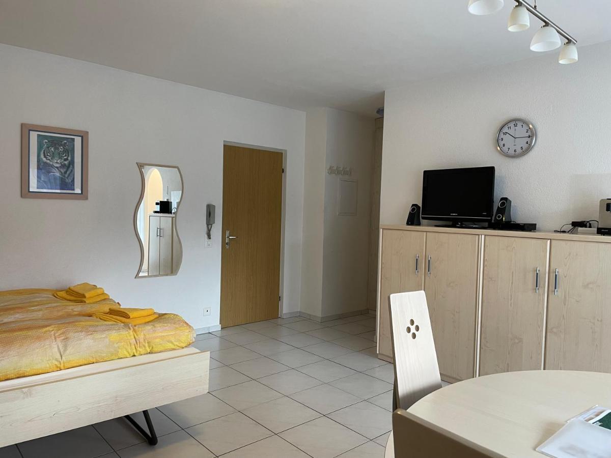 Muralto-Locarno: Miramonti Apt. 4 Exteriér fotografie